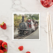 STEAMTREIN SERVET (Insitu)