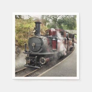 STEAMTREIN SERVET