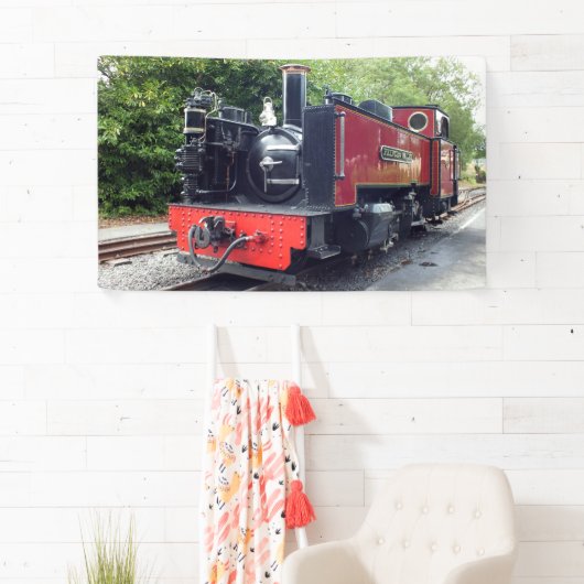 STEAMTREIN SPANDOEK (Insitu)