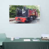 STEAMTREIN SPANDOEK (Beurs)