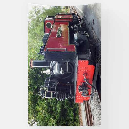 STEAMTREIN SPANDOEK (Verticaal)