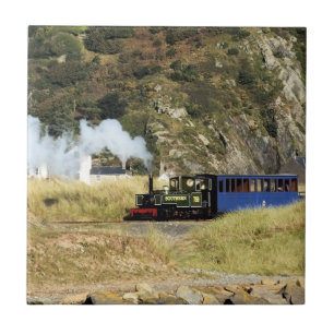 STEAMTREIN TEGELTJE
