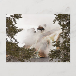 Steamy Bison Briefkaart