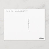 Steamy Bison Briefkaart (Achterkant)