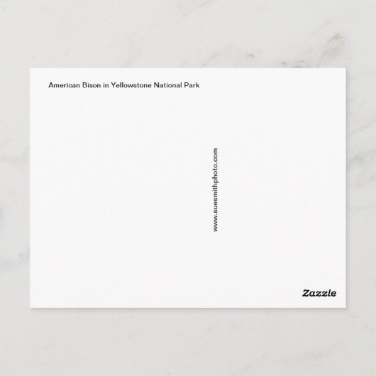 Steamy Bison Briefkaart (Achterkant)