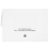 Steamy Bison in Yellowstone National Park Card (Achterkant Horizontaal)