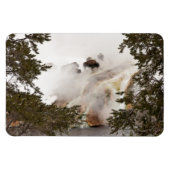Steamy Bison in Yellowstone National Park Magneet (Horizontaal)