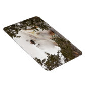 Steamy Bison in Yellowstone National Park Magneet (Rechterzijde)