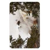 Steamy Bison in Yellowstone National Park Magneet (Verticaal)