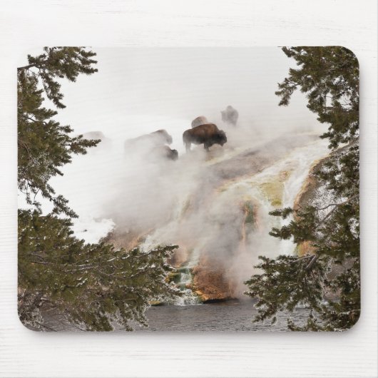 Steamy Bison Mousepad Muismat (Voorkant)