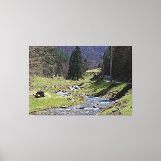 Steaza, nabij Sibiu Canvas Afdruk (Voorkant)