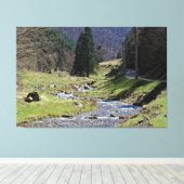 Steaza, nabij Sibiu Canvas Afdruk (Insitu (Houten vloer))