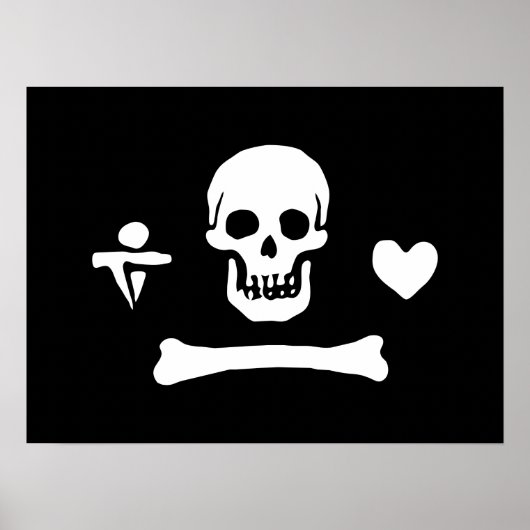 Stede Bonnet Pirate Flag Jolly Roger Poster (Voorkant)