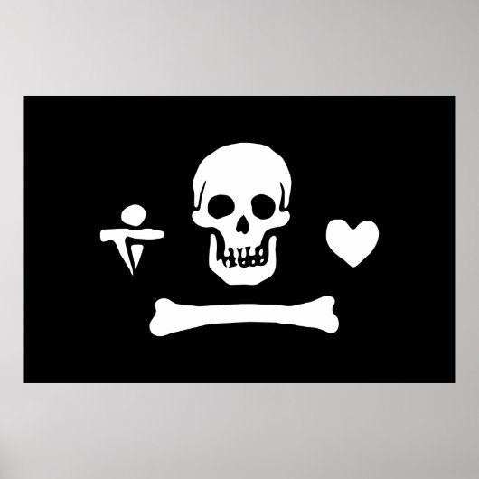 Stede Bonnet Pirate Flag Jolly Roger Poster (Voorkant)