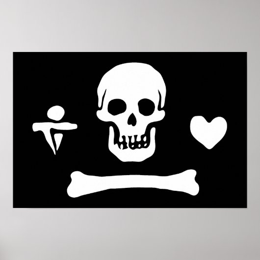 Stede Bonnet Poster (Voorkant)