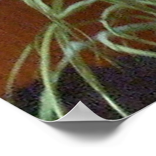stedelijk gras poster (Hoek)