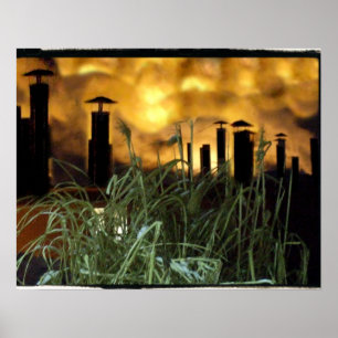 stedelijk gras poster