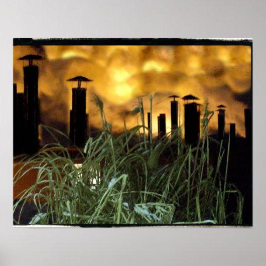 stedelijk gras poster (Voorkant)