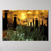 stedelijk gras poster (Voorkant)