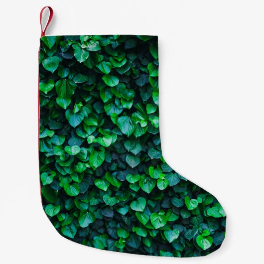 Stedelijk oerwoud binnentuinieren kleine kerstsok (Voorkant)