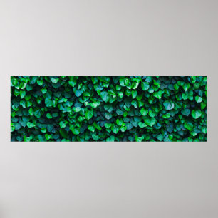 Stedelijk oerwoud binnentuinieren poster