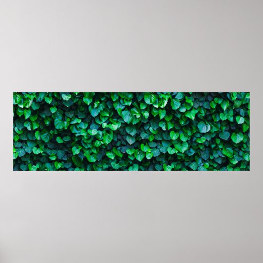 Stedelijk oerwoud binnentuinieren poster (Voorkant)