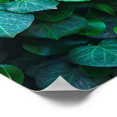 Stedelijk oerwoud binnentuinieren poster (Hoek)