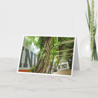 Stedelijk Oerwoud Kaart