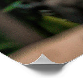 Stedelijk oerwoud. Wintertuin met planten, bloemen Poster (Hoek)