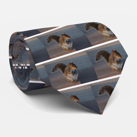 Stedelijke eekhoorn. stropdas (Opgerold)