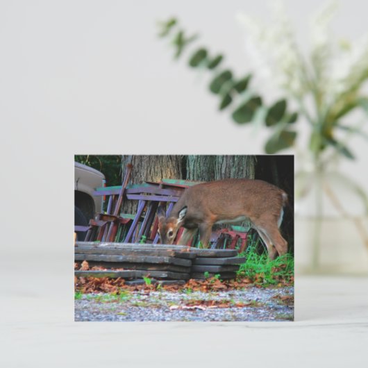 Stedelijke integratie briefkaart (Staand voorkant)