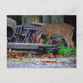 Stedelijke integratie briefkaart