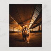 Stedelijke tijger briefkaart (Voorkant)