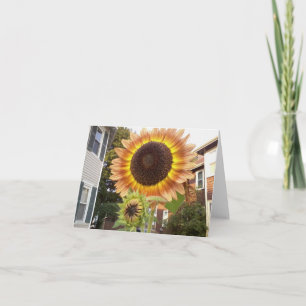 Stedelijke Tuinen Notecard Kaart