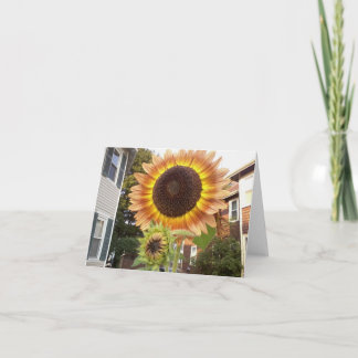 Stedelijke Tuinen Notecard Kaart