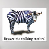 Steebra Poster (Voorkant)