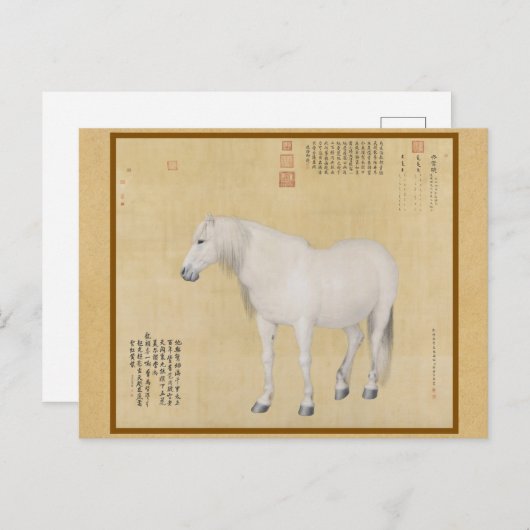 Steed - een paard genaamd Benxiaocong Chinese beel Briefkaart (Voorkant / Achterkant)