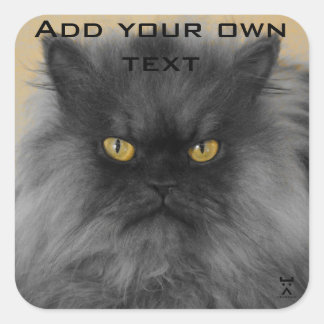 Steek het op je... vierkante sticker