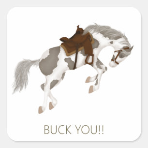 Steek je middelvinger op! Grappige Pinto Paard Vierkante Sticker