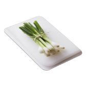Steek van bosuien op witte kookplaat magneet (Rechterzijde)