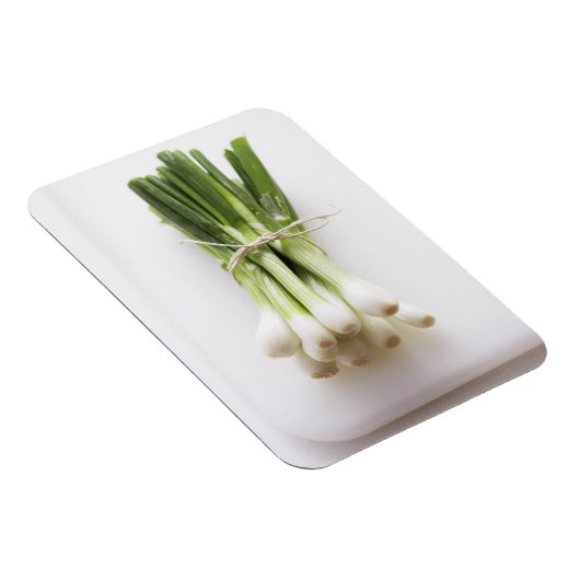 Steek van bosuien op witte kookplaat magneet (Rechterzijde)