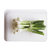 Steek van bosuien op witte kookplaat magneet (Horizontaal)