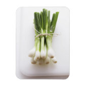 Steek van bosuien op witte kookplaat magneet (Verticaal)