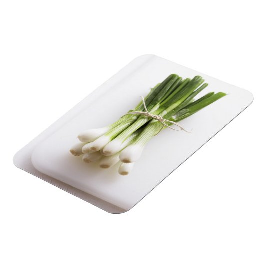 Steek van bosuien op witte kookplaat magneet (Linkerzijde)