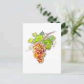 Steek van druiven briefkaart (Staand voorkant)