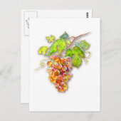 Steek van druiven briefkaart (Voorkant / Achterkant)