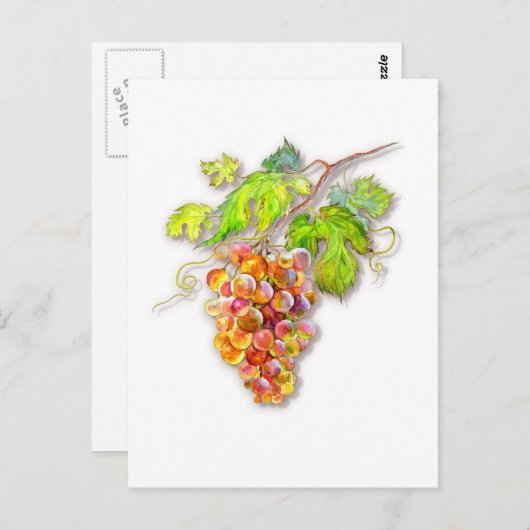 Steek van druiven briefkaart (Voorkant / Achterkant)