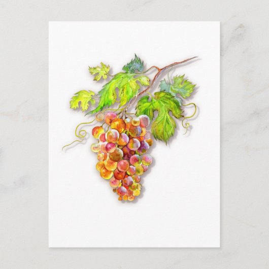 Steek van druiven briefkaart (Voorkant)