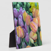 Steek van kleurrijke tulpen fotoplaat (Zijkant)