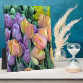 Steek van kleurrijke tulpen fotoplaat (Zijkant)